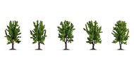 Végétation miniature : 5 arbres feuillus 8 cm - Noch 25620