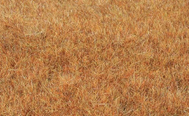 Végétation miniature : Herbe sauvage statique fin automne 5-6 mm - Heki 33545