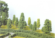 Heki 1318 - 20 arbres feuillus 4 - 8 cm