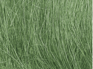 Champ d'herbes hautes vert moyen - Woodland FG174