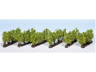 Végétation miniature : Vignes 2,2 cm 1:87 - 1:120 - Noch 21540
