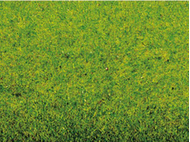 Végétation miniature : Tapis d'herbe printemps 200 x 100 cm - Noch 00010