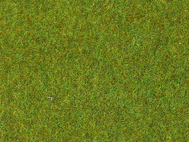 Heki 30800 - 2 tapis vert clair 40 X 25 cm