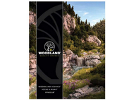 Catalogue Woodland Scenics 020170