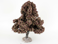 Châtaignier automne - arbre miniature naturel 18 cm - FR
