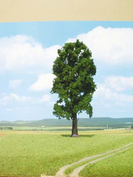 Heki 1743 - 1 arbre feuillu 35 cm