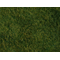 Végétation miniature : Flocage vert clair herbes sauvages 20 x 23 cm - Noch 07280