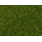 Végétation miniature : Feuillage dense vert moyen 20 x 23 cm - Noch 07300