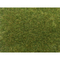 Végétation miniature : Herbes sauvages vert moyen - 50 g - Noch 07118