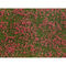 Végétation miniature : Feuillage couvre sol, Pré rouge - Noch 07257