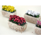 Décors de crèche : 5 grands pots de fleurs miniatures 5 cm - multicolores - FR 21415