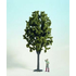 Noch 68030 - Arbre feuillu miniature 30 cm - G